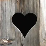 Hvad er forskellen på et toiletsæde i plastik og et toiletsæde i træ?